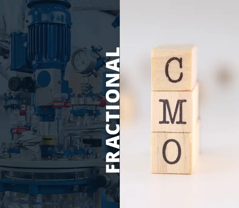 Fractional CMO for manufacturers